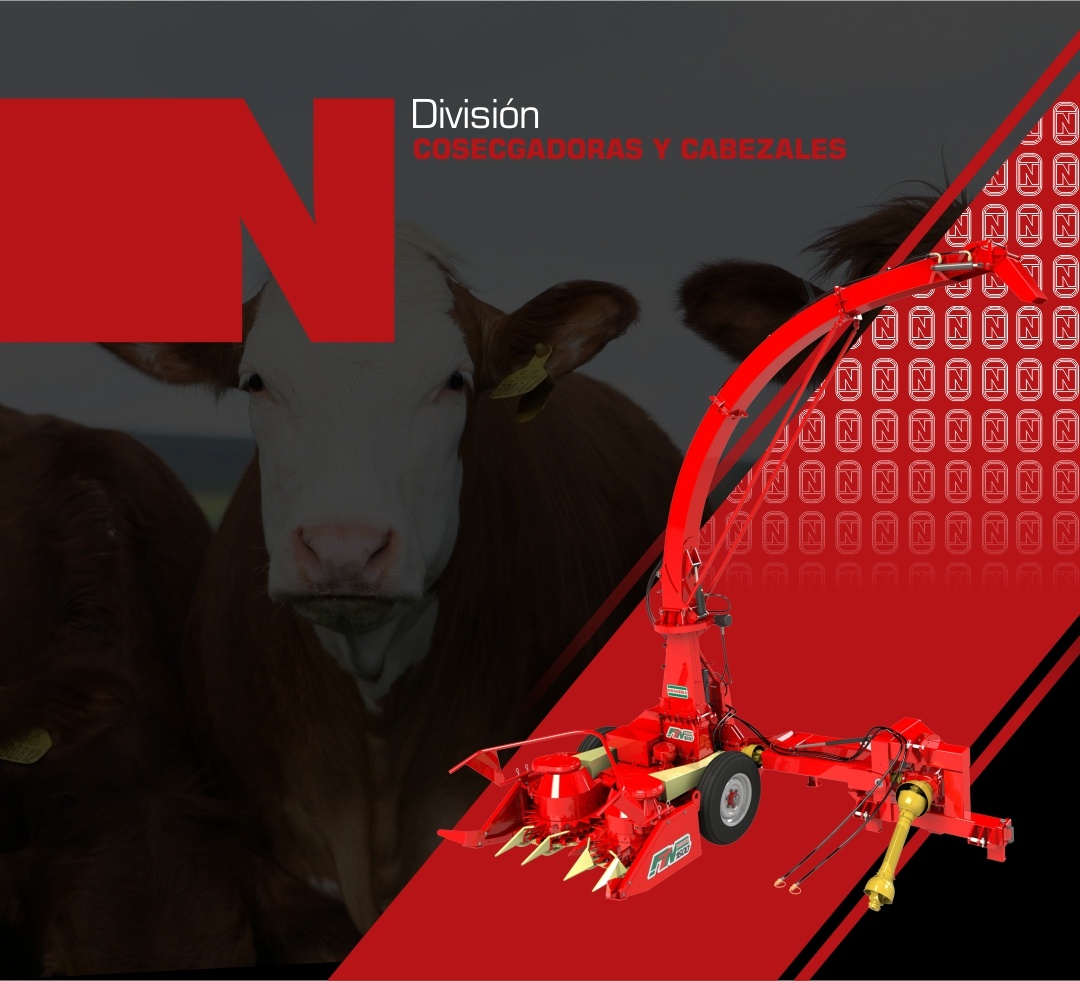 Nogueira - Esencial en el campo