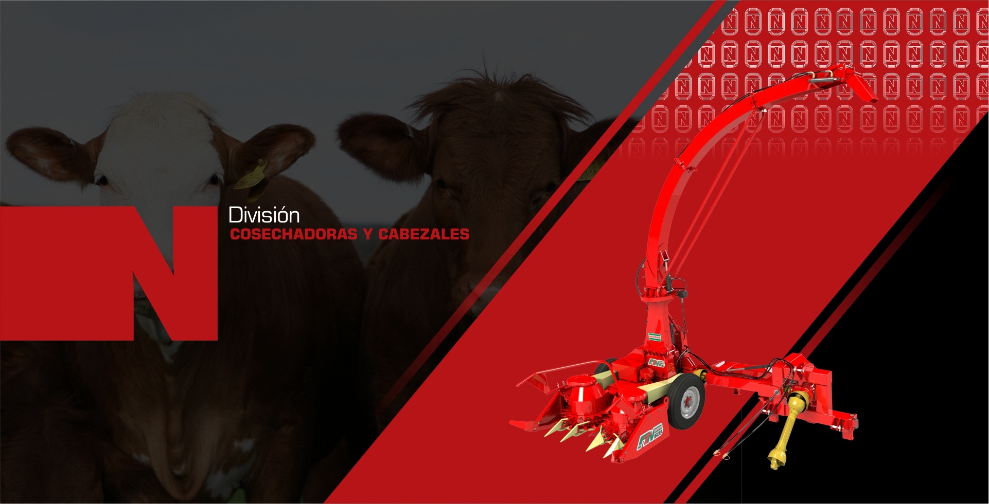 Nogueira - Esencial en el campo