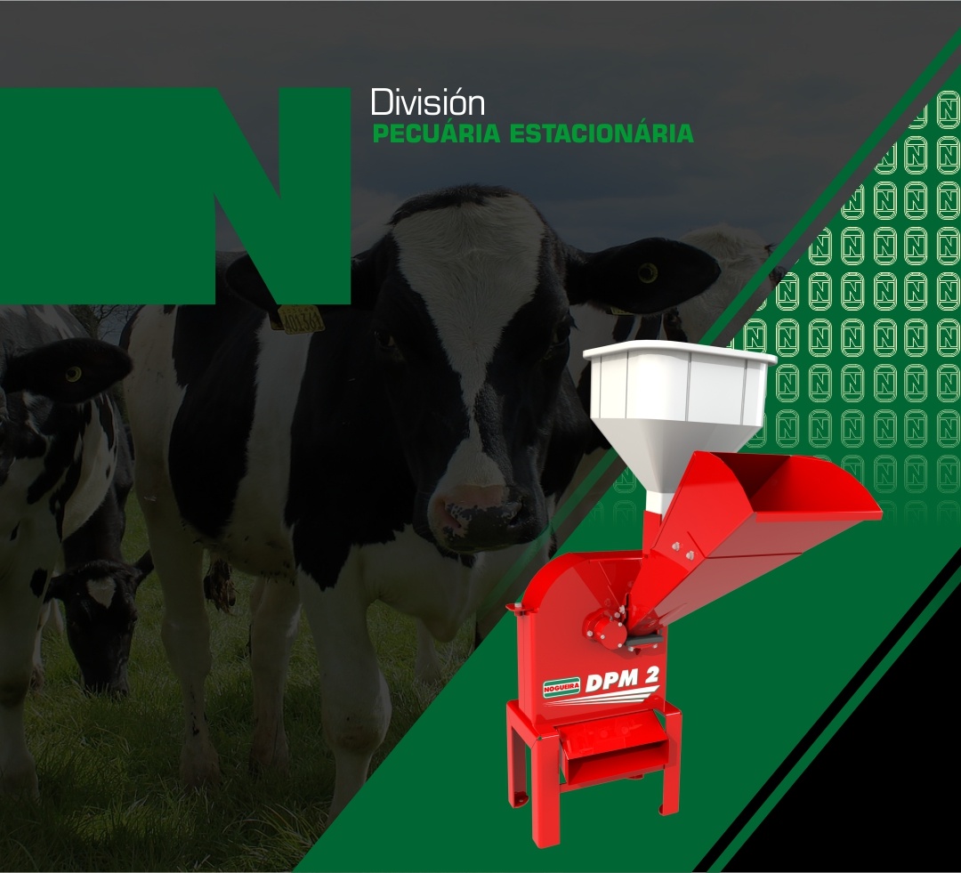 Nogueira - Esencial en el campo