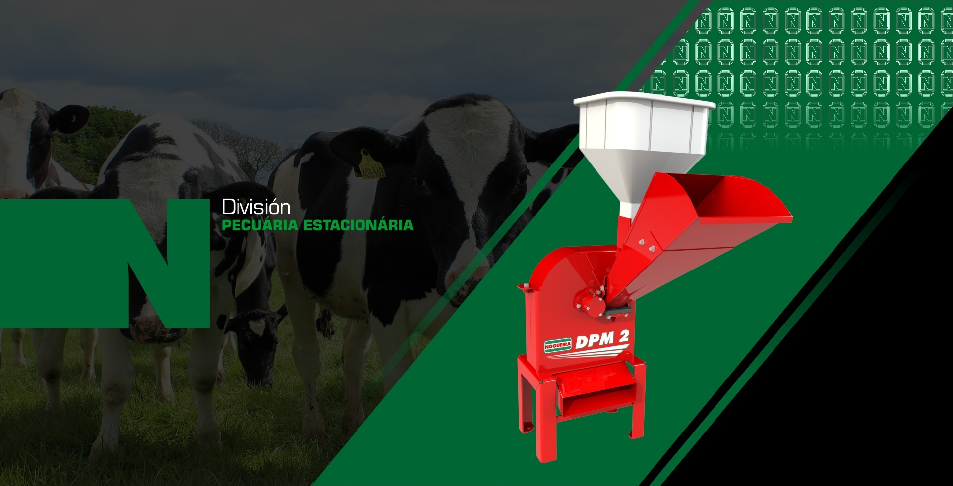 Nogueira - Esencial en el campo