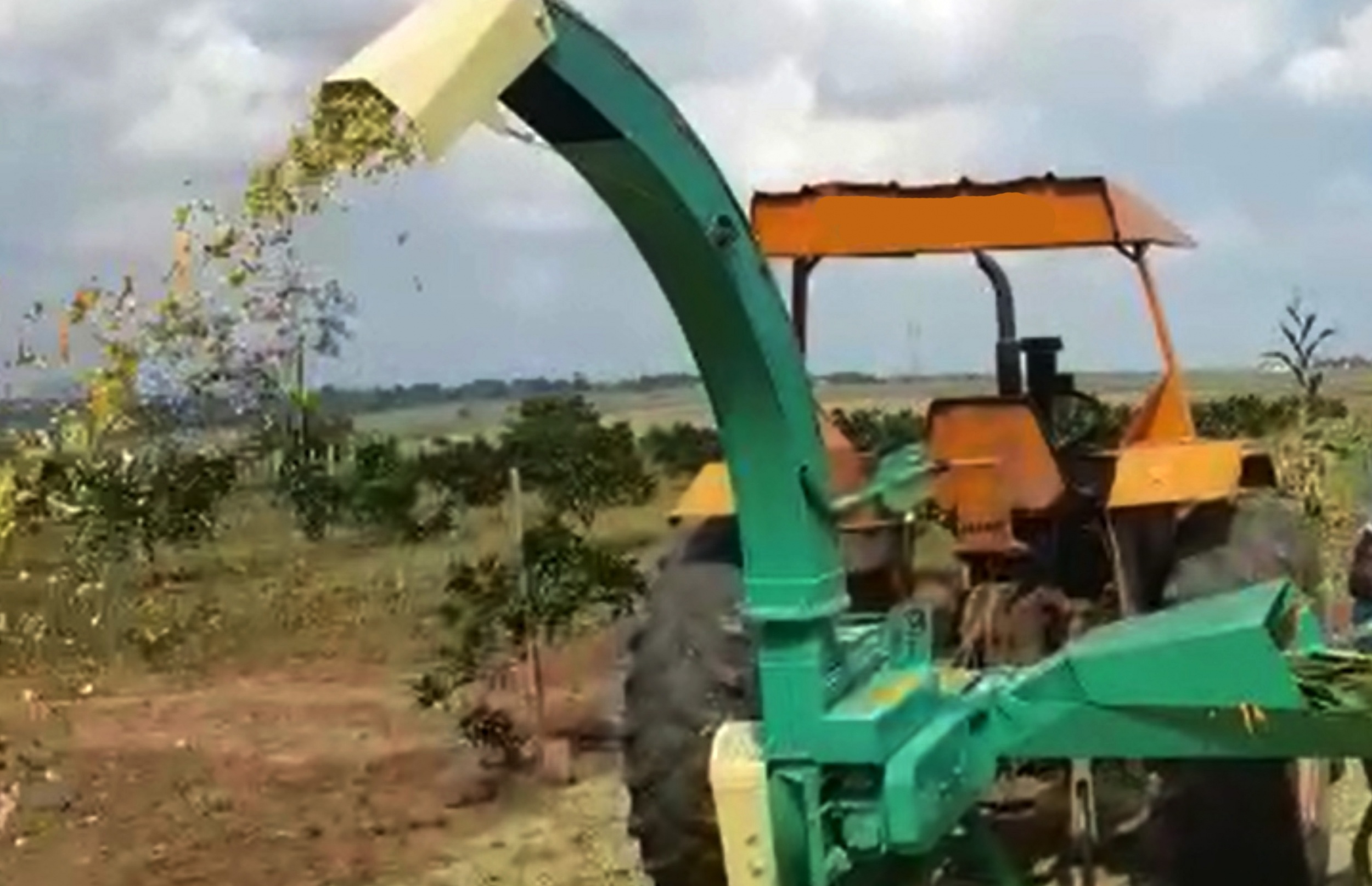 PECUÁRIA ESTACIONARIA