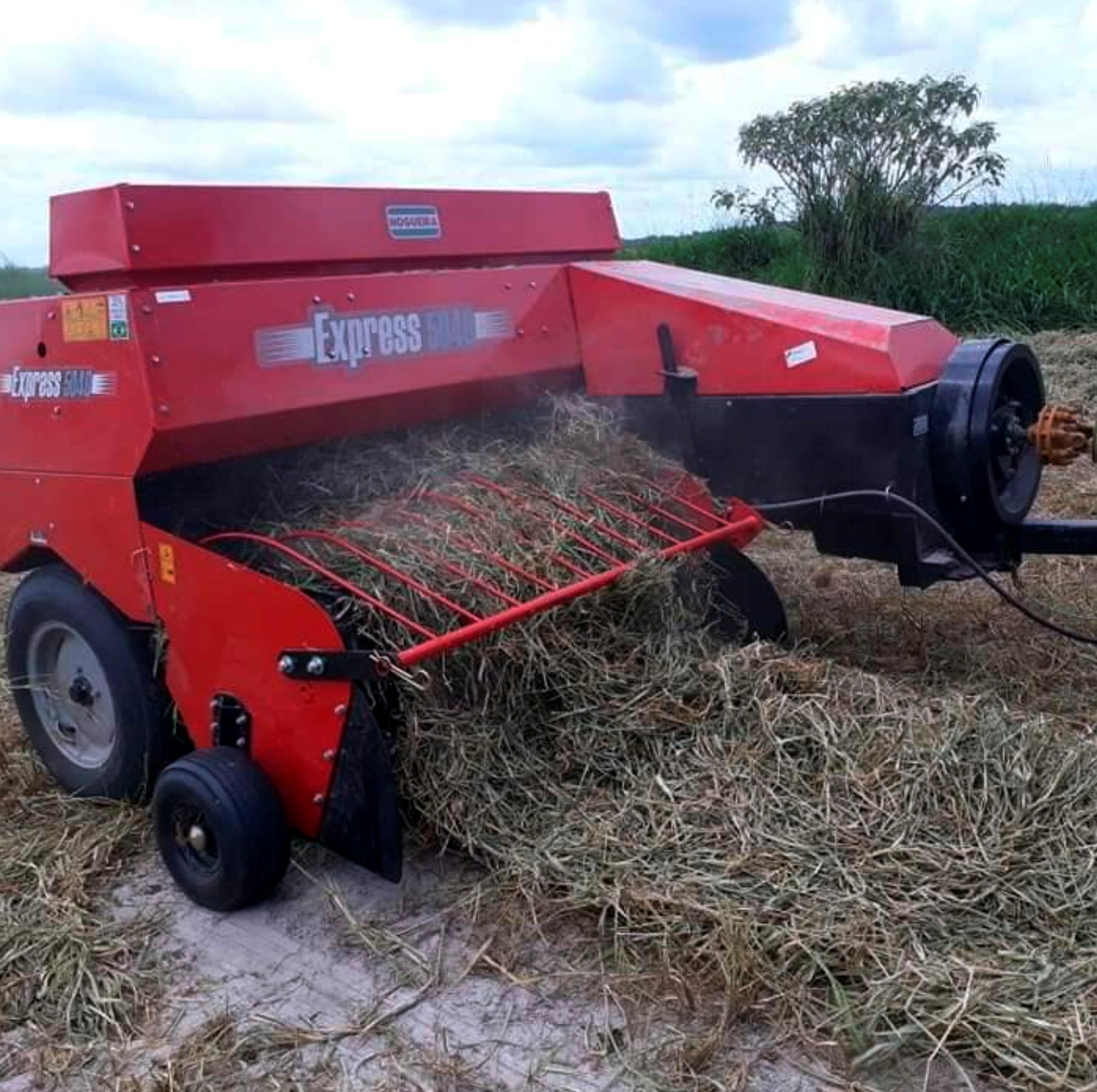 HAYMAKING