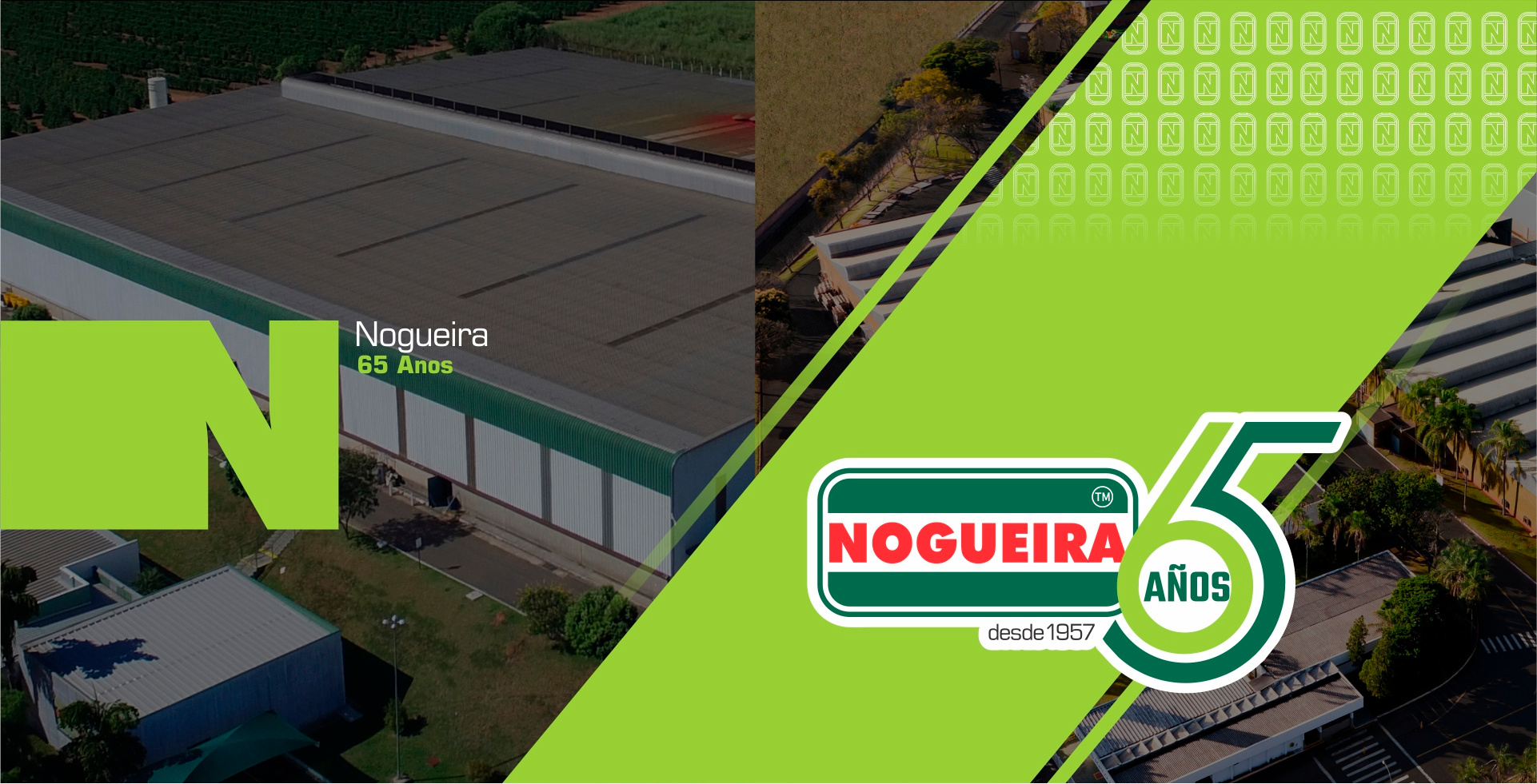 Nogueira - Esencial en el campo